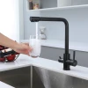 Чорний кран на кухню на дві води "Frosh" Nett FB-33 фото №4